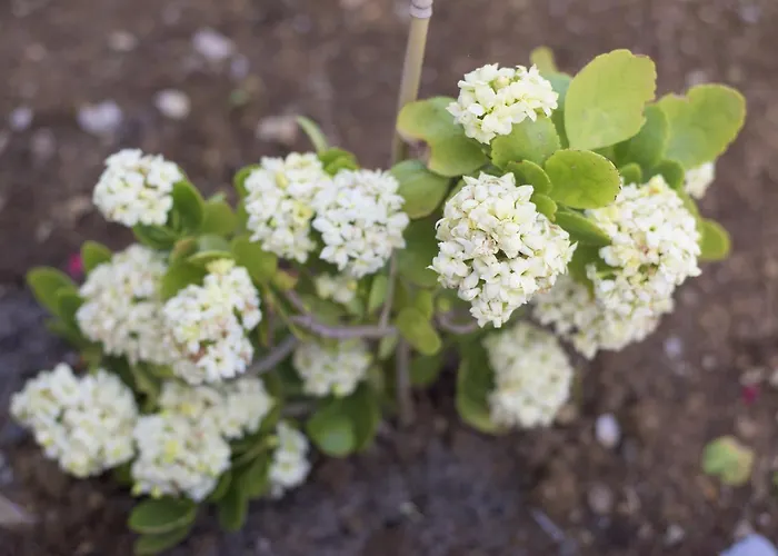 Tn - (adults Only) Вилла *